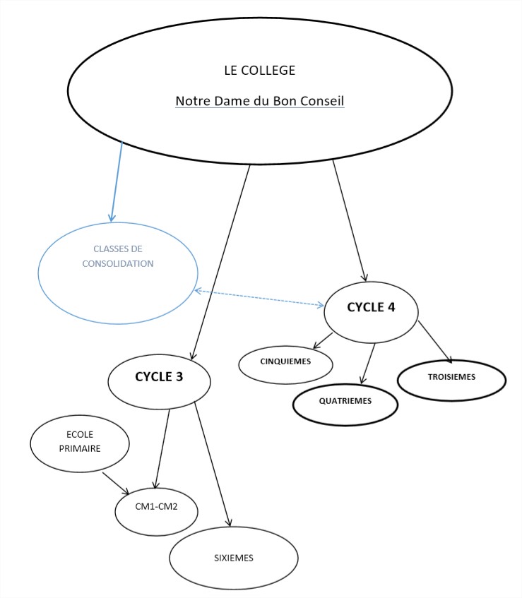 Structure du collège Notre dame du bon Conseil